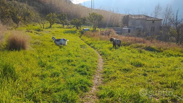 Terreno e rudere semiristrutturato