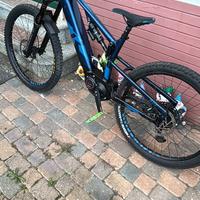 bici elettrica raymon