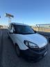 fiat-doblo-doblo-1-6-mjt-105cv-pc-tn-cargo-lamiera