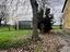 Immagine 12