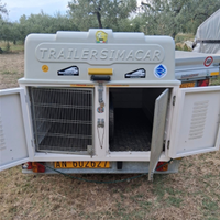 Trailer simacar trasporto cani