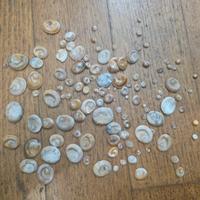 Occhi di Santa Lucia