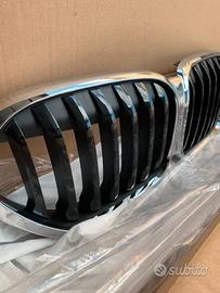 Doppio rene Griglia Calandra BMW F48 LCI Originale