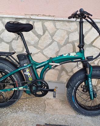 bici elettrica armony asso