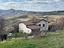 Immagine 21