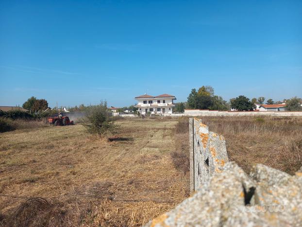 Terreno agricolo