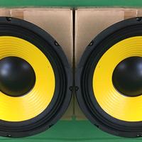 2 Diffusori Altoparlanti Speaker Woofer "10" 2X200