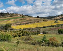 Campagna