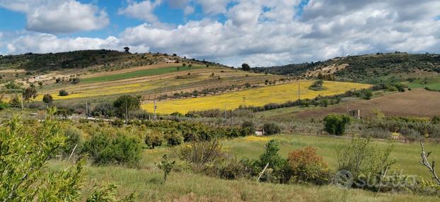 Campagna