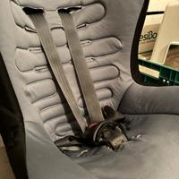 seggiolino chicco eletta comfort 