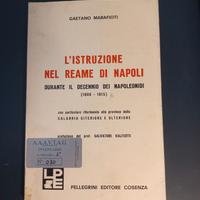 Gaetano Marafioti L'istruzione nel reame di Napoli