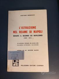 Gaetano Marafioti L'istruzione nel reame di Napoli