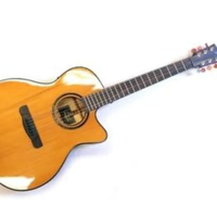 Chitarra acustica elettrificata Merida Extrema DG-