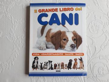 TUTTO SUI CANI