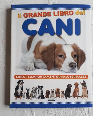 TUTTO SUI CANI