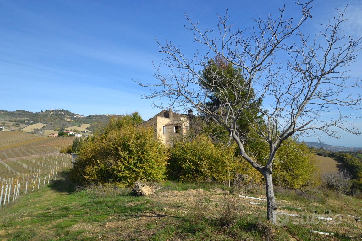 Casale / Rustico - Ripatransone - Vista 5