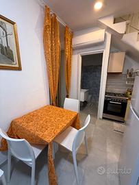 Centralissimo appartamento VIESTE