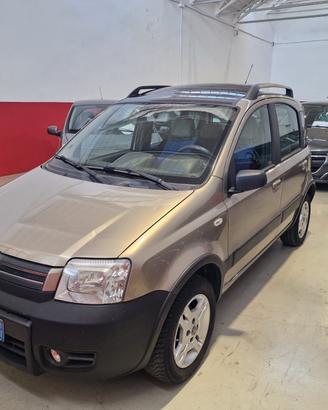 Fiat Panda 1.2 Climbing Natural Power