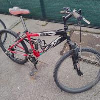 bicicletta