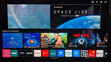 LG Oled 65CX