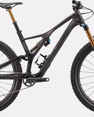 Specialized Stumpjumper S-Works, MY20, Large