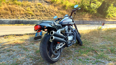 Harley Davidson XR 1200