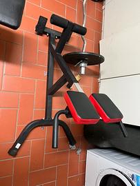 Panca romana palestra