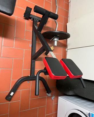 Panca romana palestra