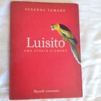 Luisito. Una storia d'amore+ Anima Mundi 