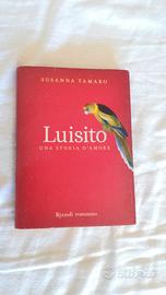 Luisito. Una storia d'amore+ Anima Mundi 