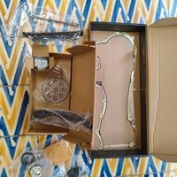 Kit distribuzione a catena 1.3 Multijet 