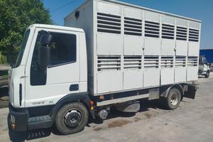 IVECO100E18 EUROCARGO TRASPORTO ANIMALI VIVI