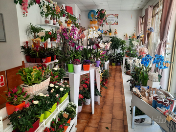 Attività commerciale