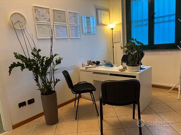 Stanza uso Professionale