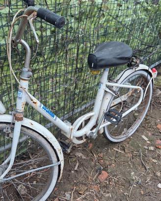 bici susanna