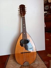 Mandolino da studio 