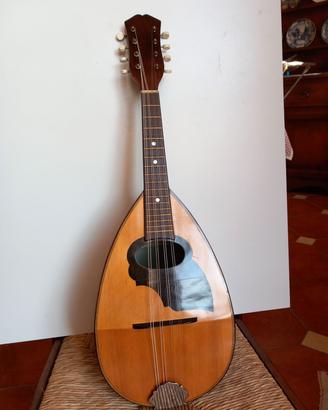 Mandolino da studio 