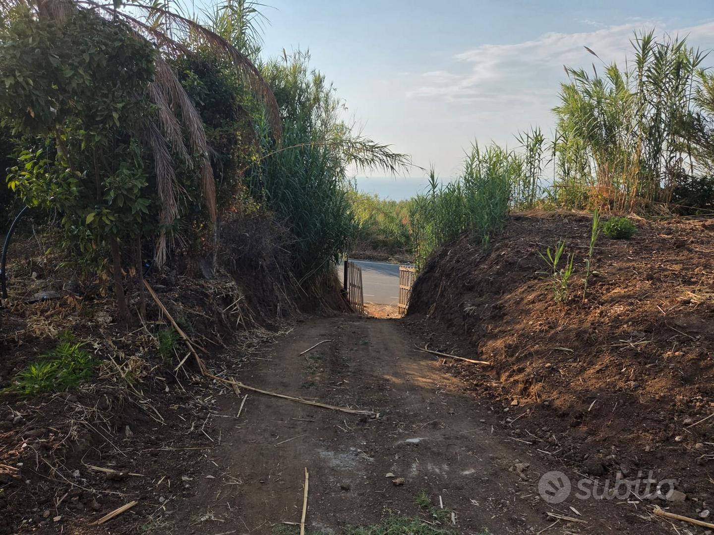 Terreno agricolo 42.000 mq vista mare+rudere-Pizzo - Altro