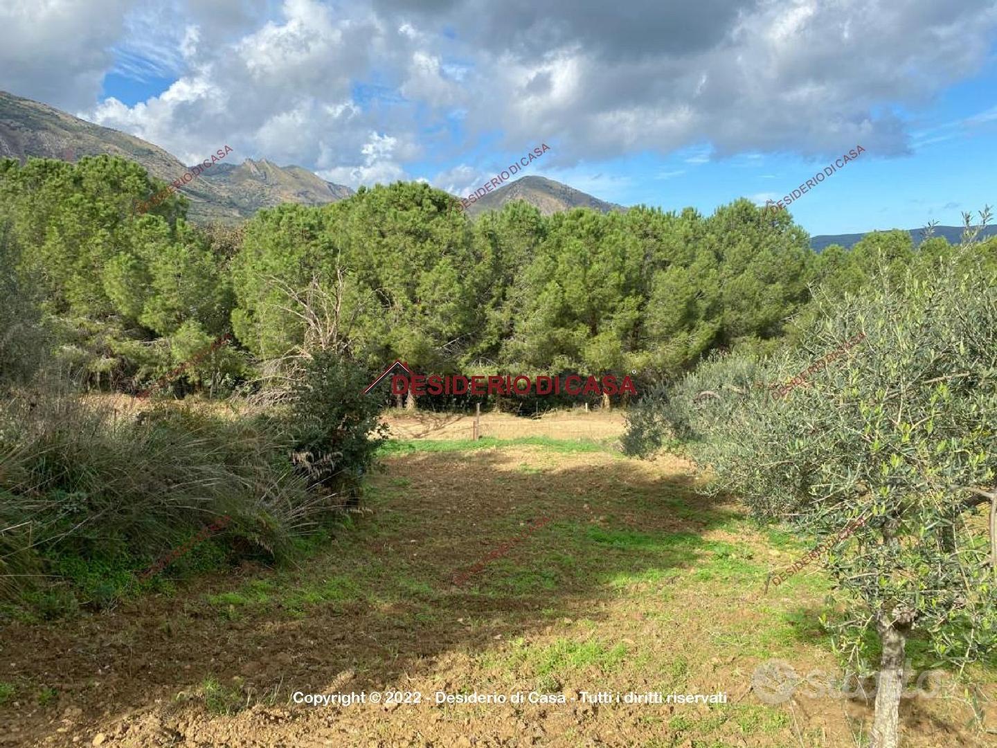 Terreno, Caccamo. - View 5