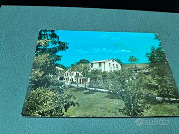 Cartolina 1969 Valdiporro di Boscochiesanuova 