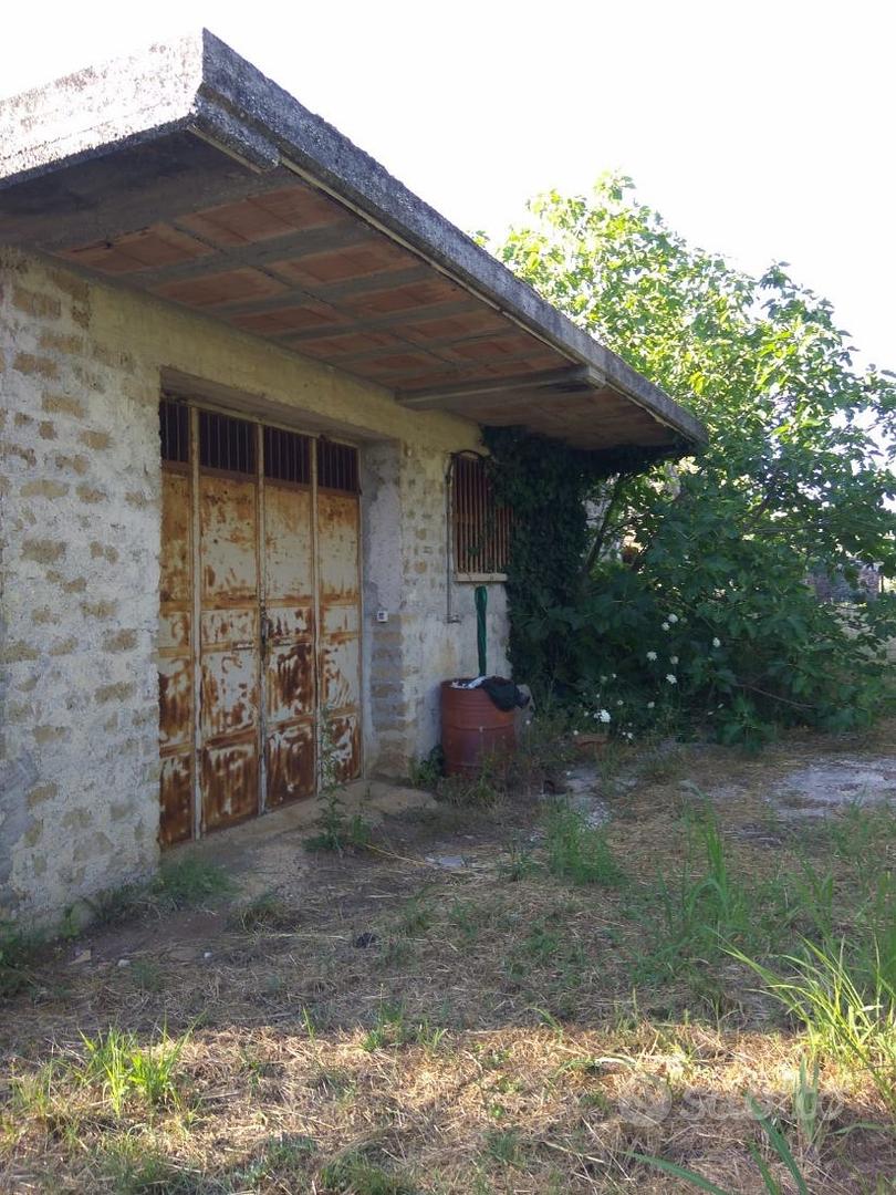 Vendo terreno agricolo - Ansicht 4