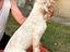 Immagine 4
