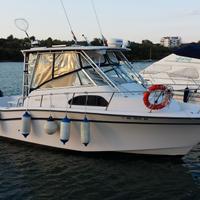 Grady white 300 marlin