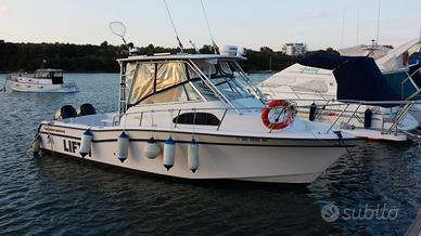 Grady white 300 marlin