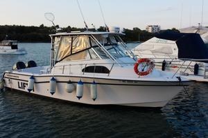 Grady white 300 marlin