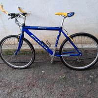 mountan bike frera 