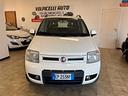 fiat-panda-anno-2012-ds-1-3-atrazione-4x4-km-200-m