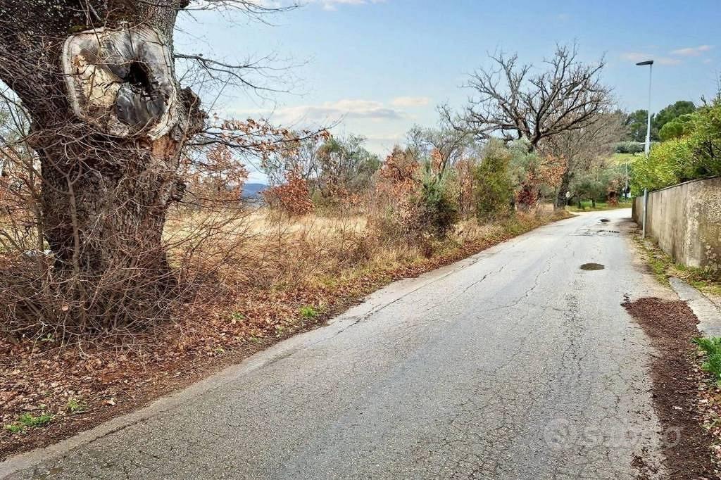 Immobile in asta di 25990 m² a Montefalco - Vista 2