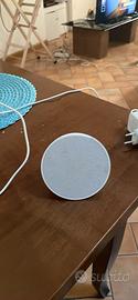 Alexa eco pop