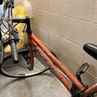 Bicicletta rossa uomo